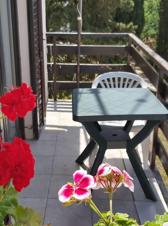 Apartmani Svitlana Sukošan Exterior foto